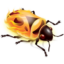 Firebug for FireFox